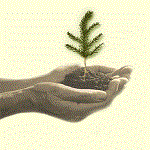 venture_capital