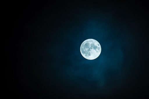 Vita lunare