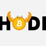 Le migliori 3 criptovalute da HODL nel 2024: Bitcoin (BTC), Cardano (ADA), KangaMoon (KANG)